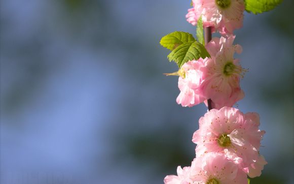 联想笔记本电脑如何系统还原