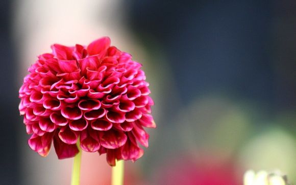 手游交易排行榜前十名