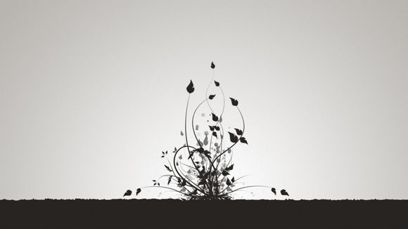 u盘被写保护的原因
